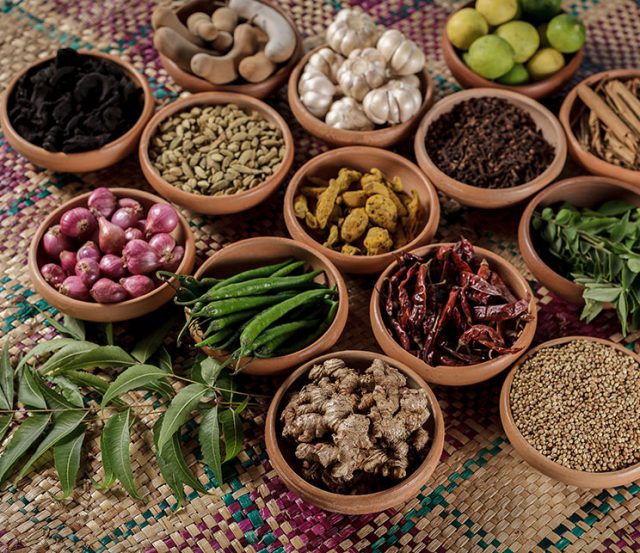 dining-herbs-spice-cat-thumb